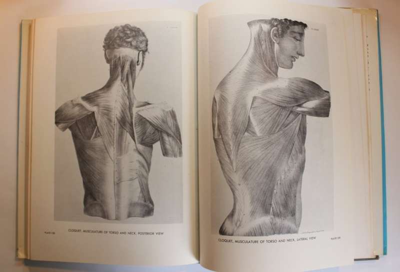 Atlas Of Anatomy for the Artist Set of 2 x Hard and Softcover Books
