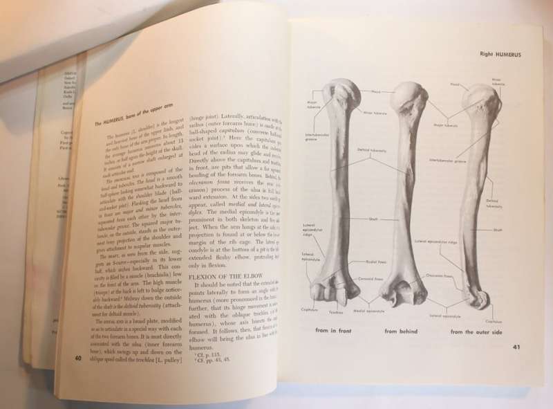 Atlas Of Anatomy for the Artist Set of 2 x Hard and Softcover Books