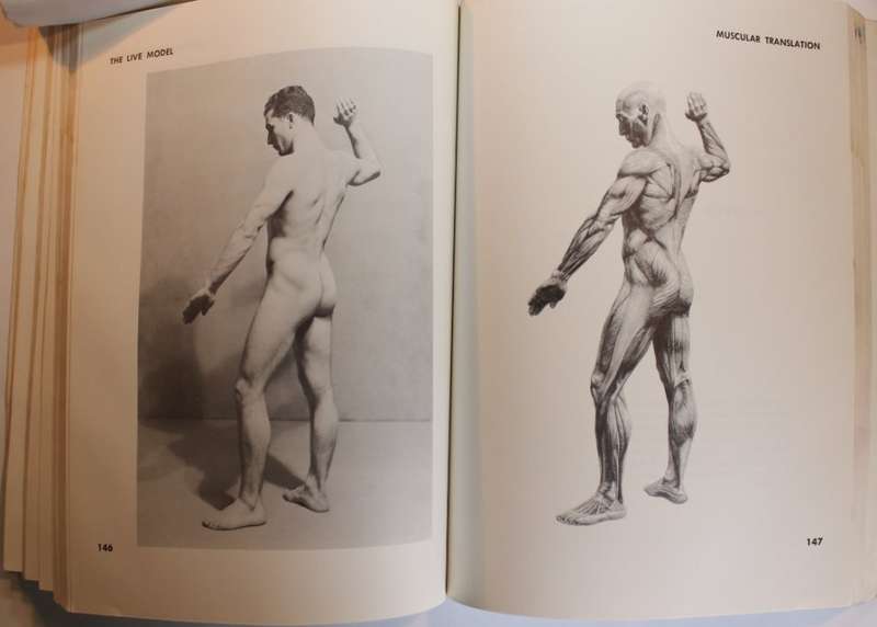Atlas Of Anatomy for the Artist Set of 2 x Hard and Softcover Books