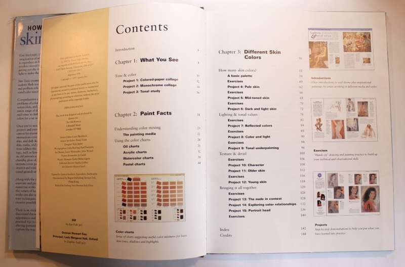 How To Paint Skin Tones by James Horton Hardcover Book