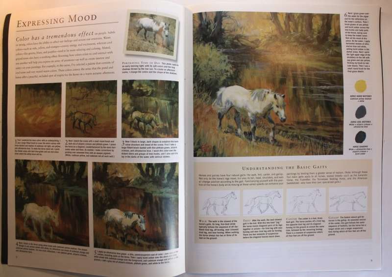 Learn to Paint Horses Set of 3 Leonardo and Walter Foster Art Softcover Books