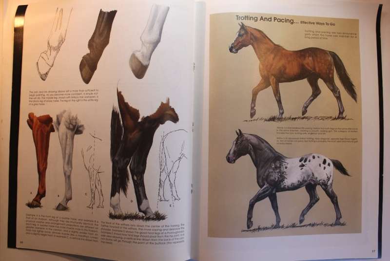 Learn to Paint Horses Set of 3 Leonardo and Walter Foster Art Softcover Books