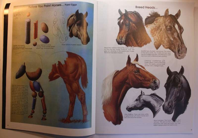 Learn to Paint Horses Set of 3 Leonardo and Walter Foster Art Softcover Books