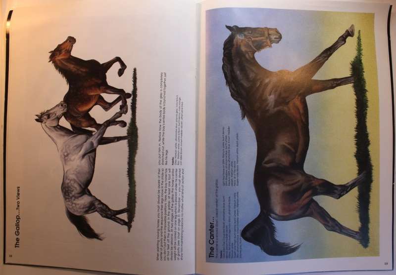 Learn to Paint Horses Set of 3 Leonardo and Walter Foster Art Softcover Books