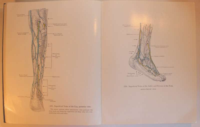 An Atlas of Anatomy by Boileau Grant Fourth Edition 1956 Hardcover Book