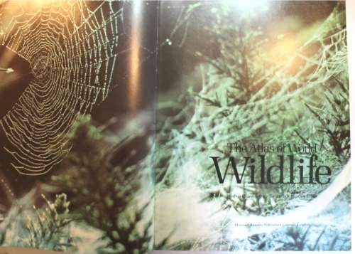 The Atlas of World Wildlife by Mitchell Beazley Publishers Hard Cover Book 1974