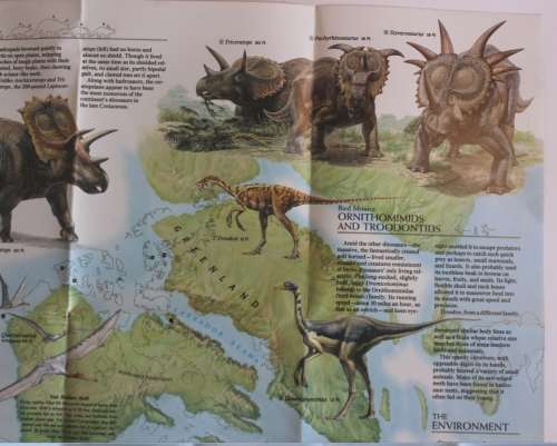 National Geographic Folded Map of Dawn on the Delta Jan 1993