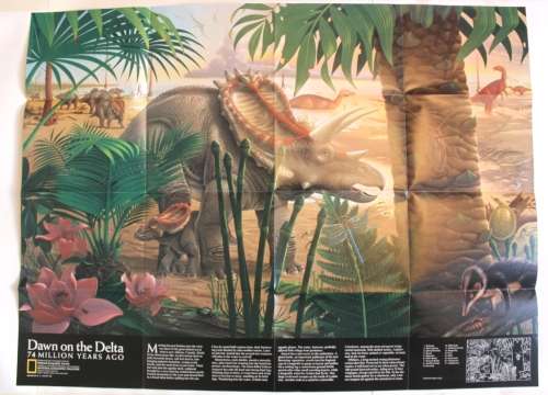 National Geographic Folded Map of Dawn on the Delta Jan 1993