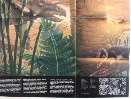 National Geographic Folded Map of Dawn on the Delta Jan 1993
