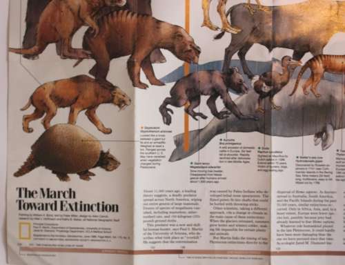 National Geographic Folded Map of The March Toward Extinction June 1989