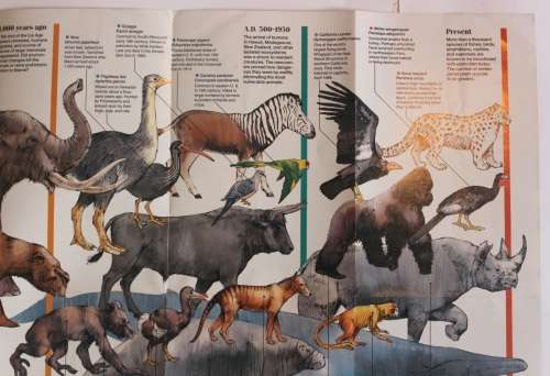 National Geographic Folded Map of The March Toward Extinction June 1989
