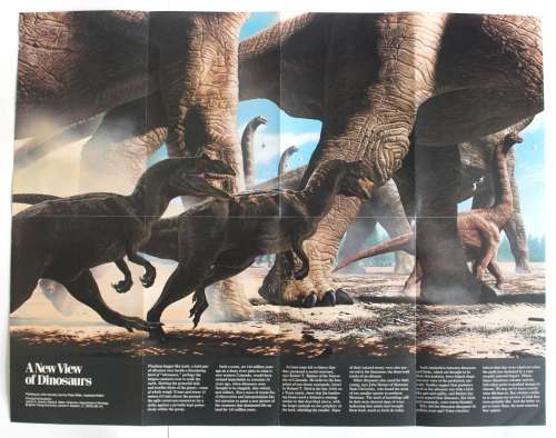 National Geographic Folded Map of The March Toward Extinction June 1989