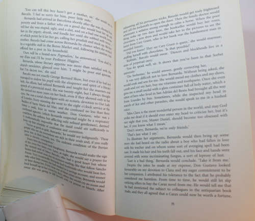 The Shadow Of The Wind by Carlos Ruiz Zafon Softcover Book