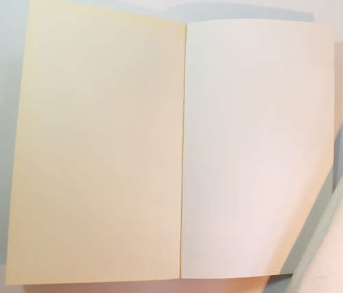 Lost Light by Michael Connelly Softcover Book