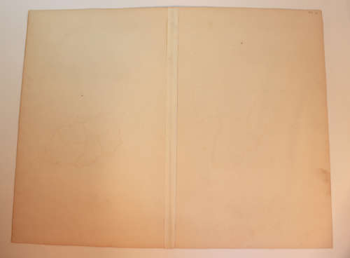 Antique Map of Jamaica by John Tallis 1851
