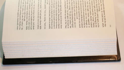 A Son Of The Circus by John Irving Hard Cover First Trade Edition