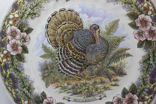 Vintage Decorative Wall Plate by Churchill - Wildlife Scenes Series `Meleagridiana` (Turkey)