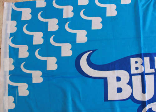 Blue Bulls Rugby Flag