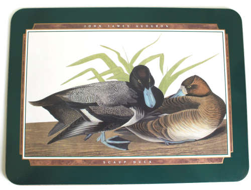 Jason Coasters of New Zealand Six x John James Audubon Design Place Mats