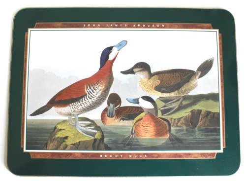 Jason Coasters of New Zealand Six x John James Audubon Design Place Mats
