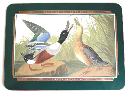 Jason Coasters of New Zealand Six x John James Audubon Design Place Mats