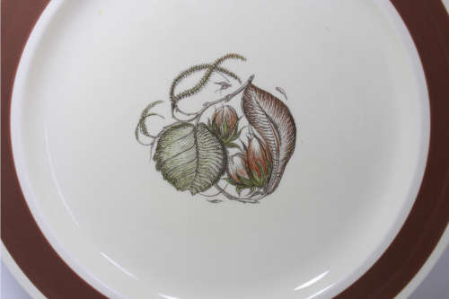 Susie Cooper Handpainted Hazelwood Pattern 2375 Dinner Plate