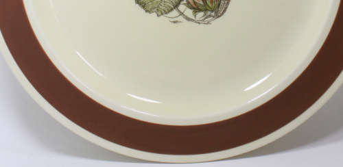 Susie Cooper Handpainted Hazelwood Pattern 2375 Dinner Plate