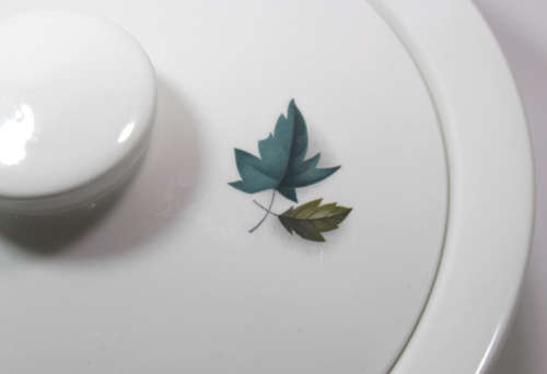 Snowhite Range Green, Pink and White Leaves Server Tureen by Johnson Bros
