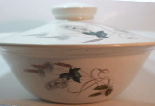 Snowhite Range Green, Pink and White Leaves Server Tureen by Johnson Bros
