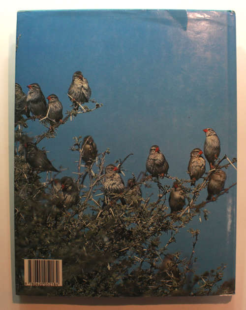Everyone`s Guide To South African Birds Photographs by Peter Johnson Hardcover Book