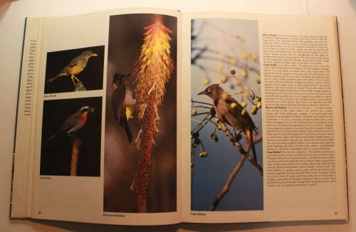 Everyone`s Guide To South African Birds Photographs by Peter Johnson Hardcover Book