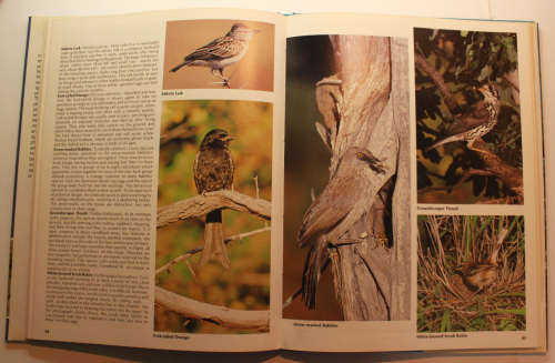 Everyone`s Guide To South African Birds Photographs by Peter Johnson Hardcover Book