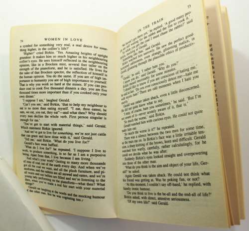 Women In Love by D.H. Lawrence Penguin Classics Softcover Book