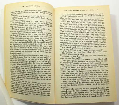 Sons and Lovers by D.H. Lawrence Penguin Classics Softcover Book