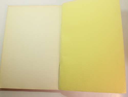 Paranoiede Versteunings en Skisofrenie by K G Kemp Softcover Book
