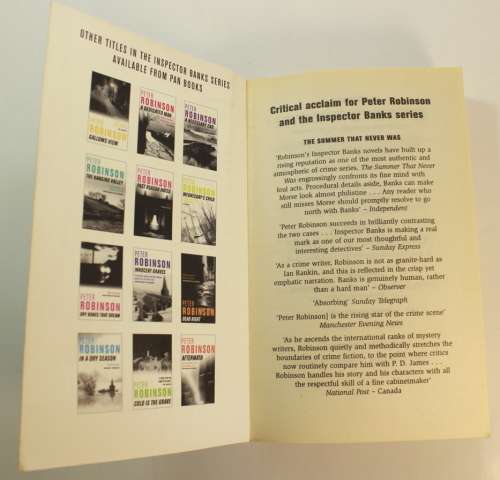 The Summer That Never Was by Peter Robinson Softcover Book
