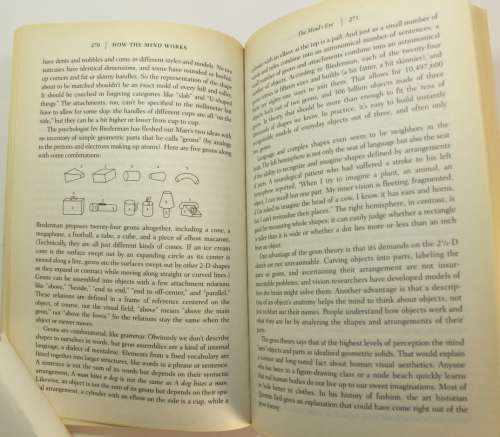 How The Mind Works by Steven Pinker Softcover Book