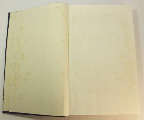 The Painter In History by Ernest Short Hardcover Book