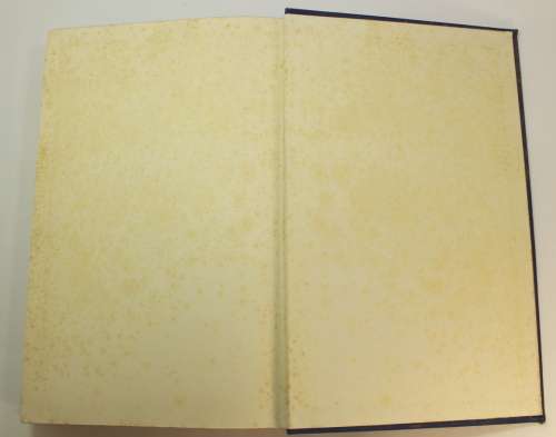The Painter In History by Ernest Short Hardcover Book