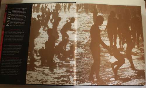 Human: The Definitive Visual Guide, Editorial Consultant: Robert Winston Hardcover Book