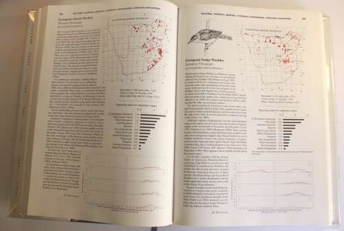 The Atlas of Southern African Birds Volume 2: Passerines Hardcover Book