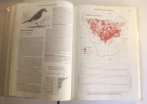 The Atlas of Southern African Birds Volume 2: Passerines Hardcover Book