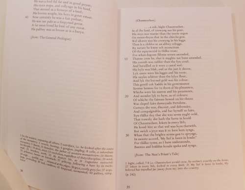 Accents An Anthology Of Poetry by Michael Chapman & Tony Voss Softcover Book