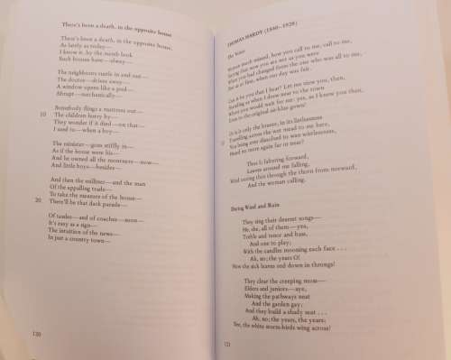 Accents An Anthology Of Poetry by Michael Chapman & Tony Voss Softcover Book