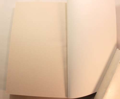A Beginner`s Guide To Murder by Rosalind Stopps Softcover Book