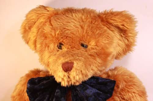 Beautiful Large Golden Brown Teddy Bear With Bowtie