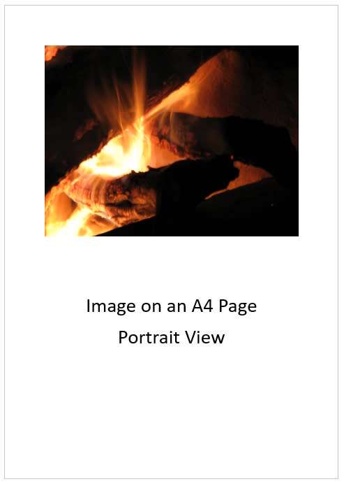 `Camping: Bushveld Log Fire` Original Digital Download Stock Photo