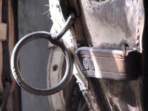 `Equine Tack: Horse Mouth Bit` Original Digital Download Stock Photo