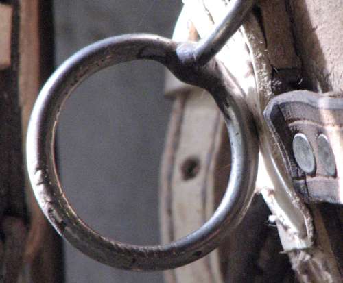 `Equine Tack: Horse Mouth Bit` Original Digital Download Stock Photo