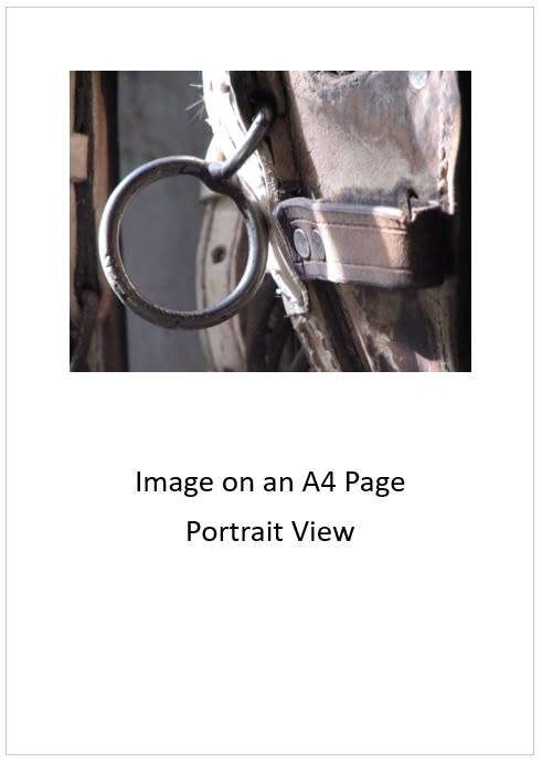 `Equine Tack: Horse Mouth Bit` Original Digital Download Stock Photo